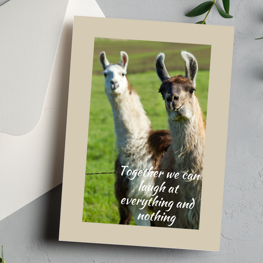 I'm not sure what that says about us Birthday Greeting card - You Are Seen Greetings