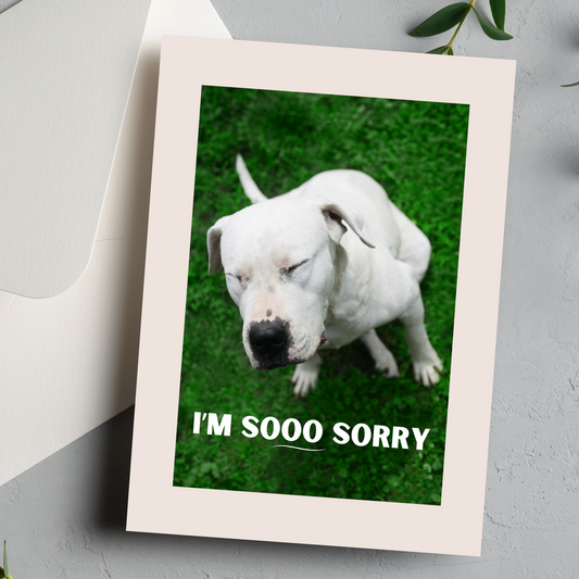 I was out of line Apology Greeting card